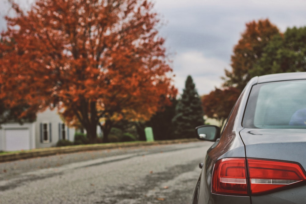 gray car near brown leafed tree