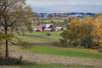 A scenic rural landscape featuring several red barns surrounded by open fields and scattered trees with autumn foliage. The rolling hills and patches of farmland are visible in the distance, creating a calm and expansive view.