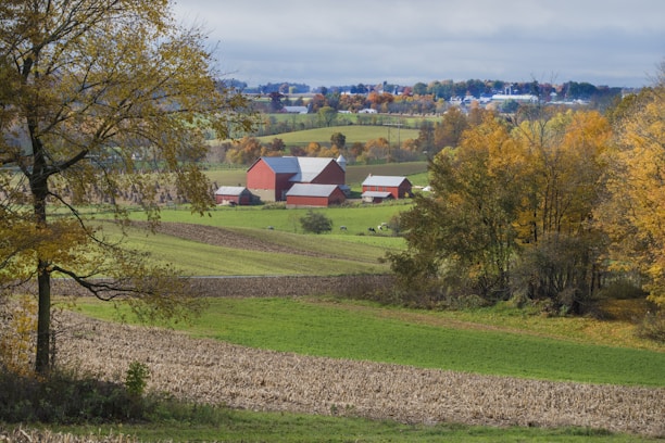 A scenic rural landscape featuring several red barns surrounded by open fields and scattered trees with autumn foliage. The rolling hills and patches of farmland are visible in the distance, creating a calm and expansive view.