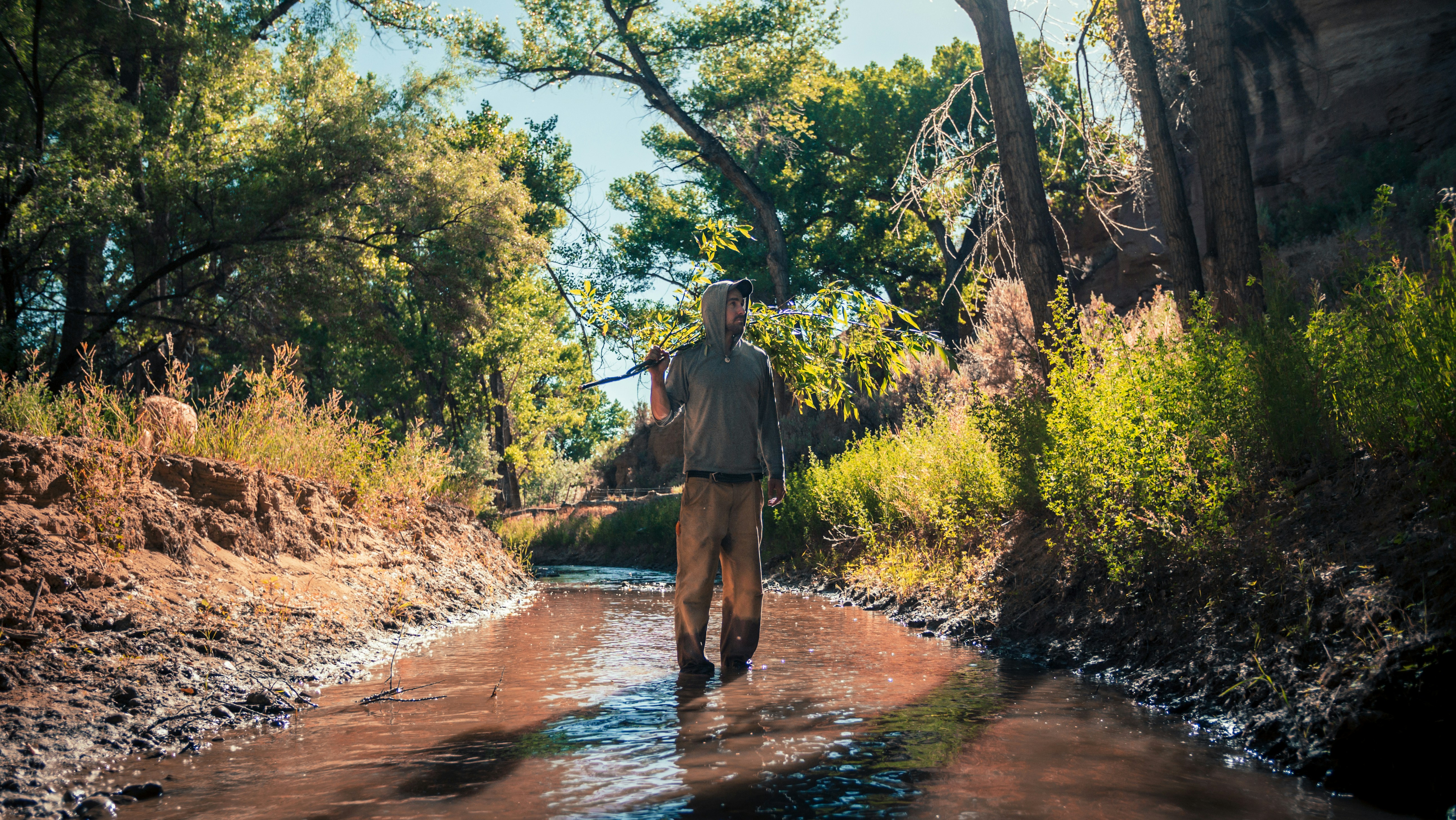 Extreme Heatwave Affects Over Half of France's Population