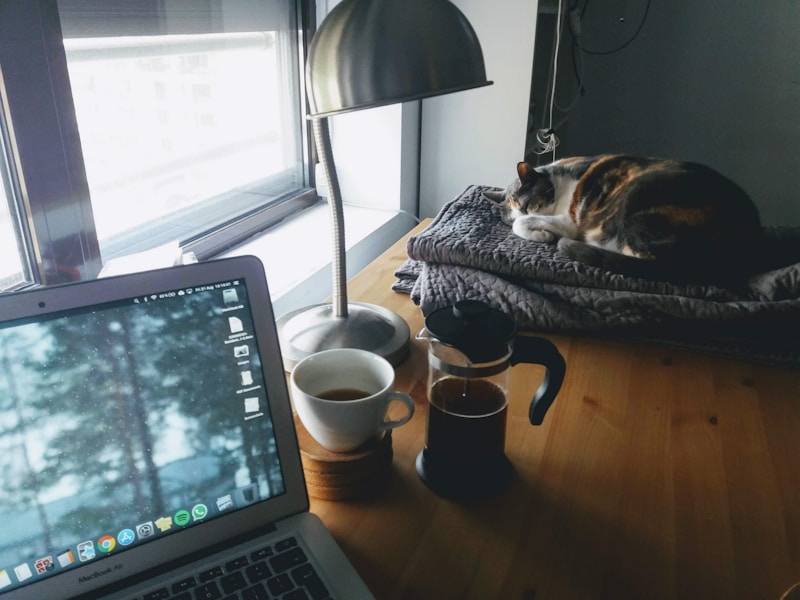What's Your Work From Home Productivity Style?