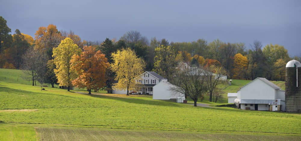 Maison Blanche près des arbres pendant la journée