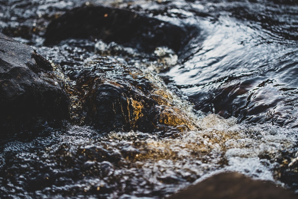 a close up of a stream of water with rocks