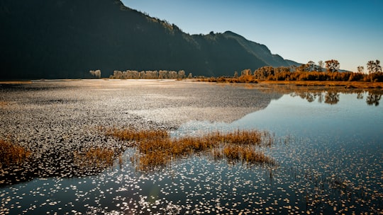 silhouette of mountain near body of water during daytime in Pitt Lake Canada