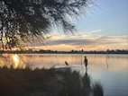 A peaceful lakeside scene in Lindau with a dog and owner walking together.