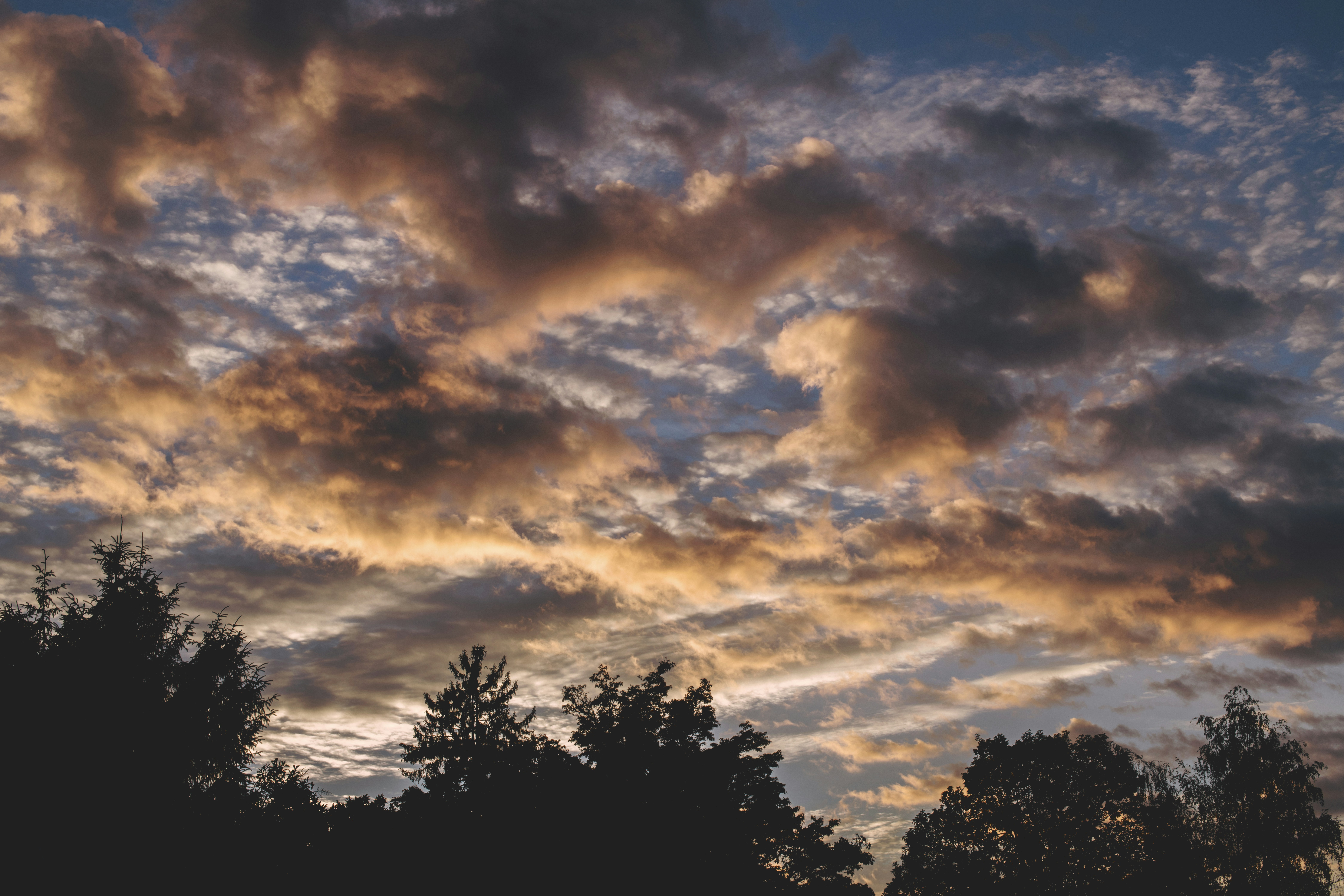 Photo by timmossholder