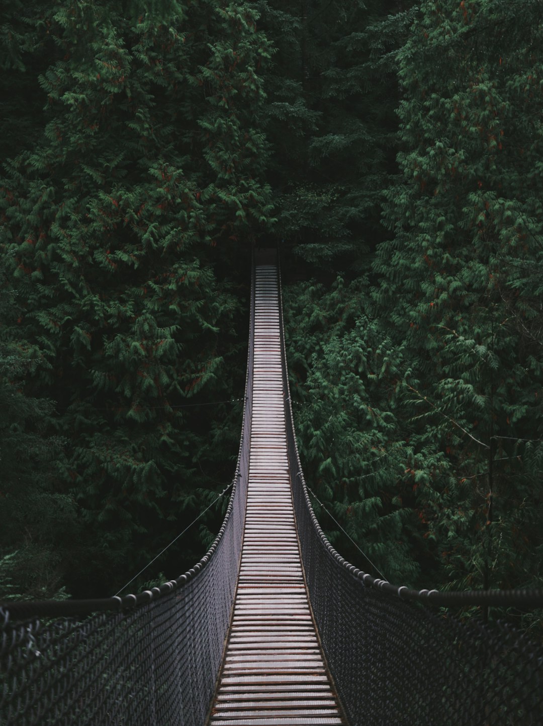 It took me literally ten minutes to take this picture at Lynn Canyon, North Vancouver. That place is so busy that I had to wait about 10 minutes for the people to move out from the scene and make this bridge kind of abandoned.