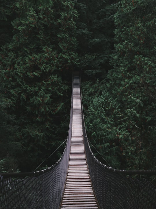 bridge in the middle of the forest in Lynn Canyon Ecology Centre Canada