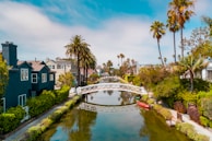 selective focus photography of small bridge and body of water during daytime