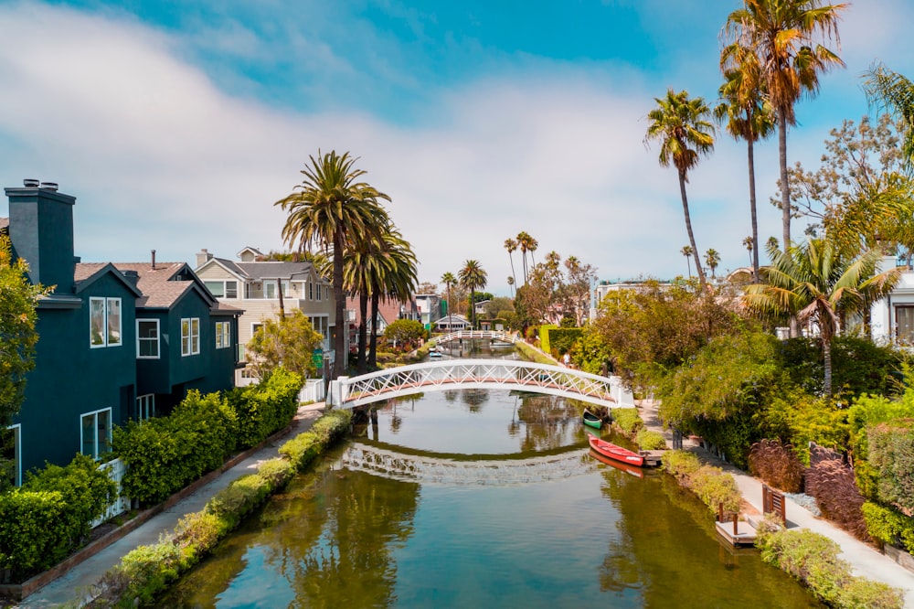 selective focus photography of small bridge and body of water during daytime