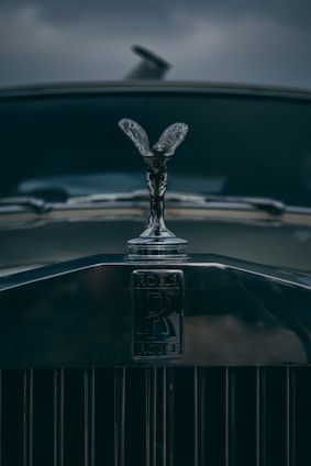 the emblem on the front of a vintage car