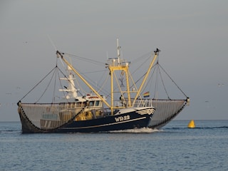 A trawler with a large blue hull and the identification number WR22 sails on calm waters. The fishing vessel is equipped with extended nets on both sides, suggesting that it is in the process of fishing. In the background, a few seagulls are flying, and a yellow buoy is visible near the ship.