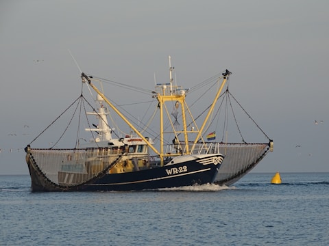 A trawler with a large blue hull and the identification number WR22 sails on calm waters. The fishing vessel is equipped with extended nets on both sides, suggesting that it is in the process of fishing. In the background, a few seagulls are flying, and a yellow buoy is visible near the ship.