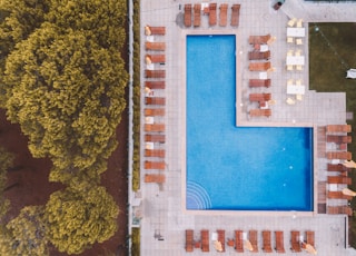 bird'eye-view photography of swimming pool near trees