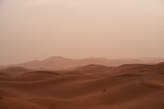 A panoramic view of the Sahara desert stretching endlessly beyond Mauritania's horizon.