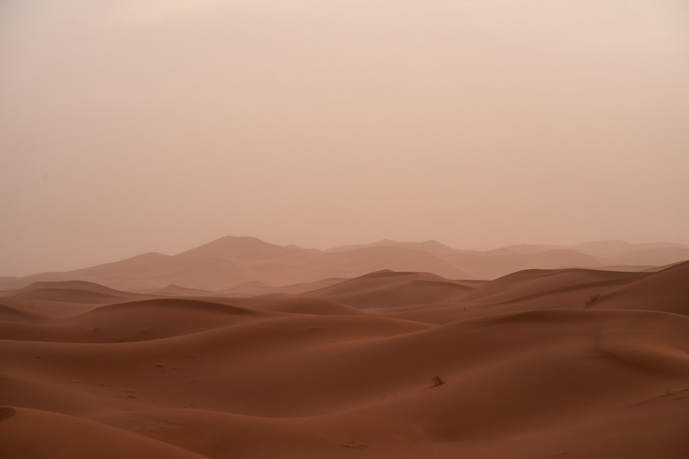 desert under white sky during daytime