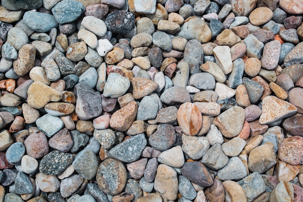 lotto di pietra di colore assortito