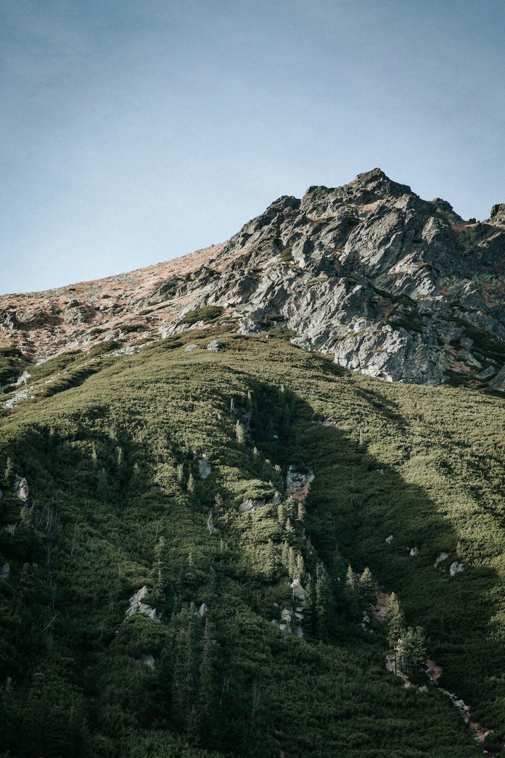 a very tall mountain with some trees on top of it