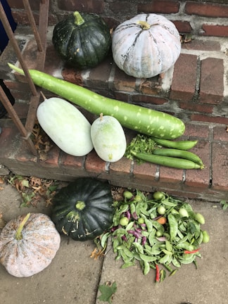 A variety of fresh vegetables are placed on a set of brick steps. The vegetables include several green and white squashes, long green gourds, cucumbers, and a colorful assortment of peas and small tomatoes. The steps are part of an outdoor scene with some fallen leaves visible on the ground.