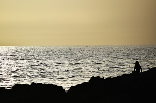 photo of Rosignano Marittimo Beach near Guinigi torony