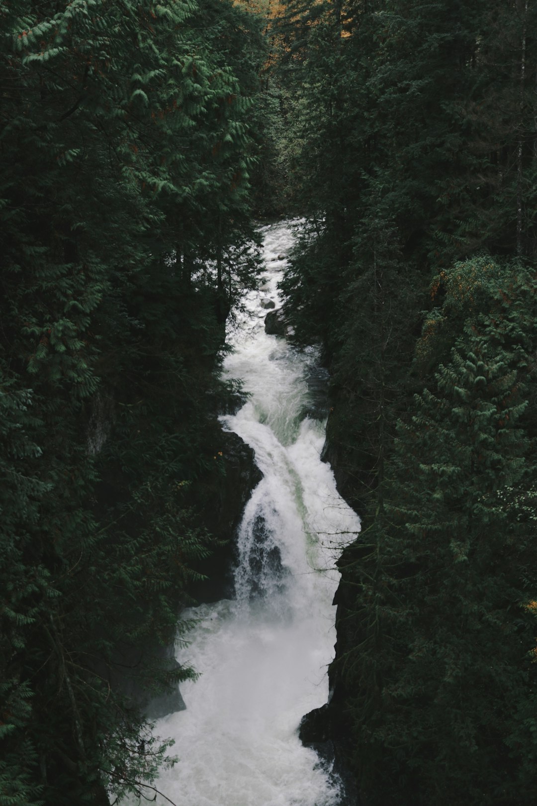 waterfalls in between green grass during daytime