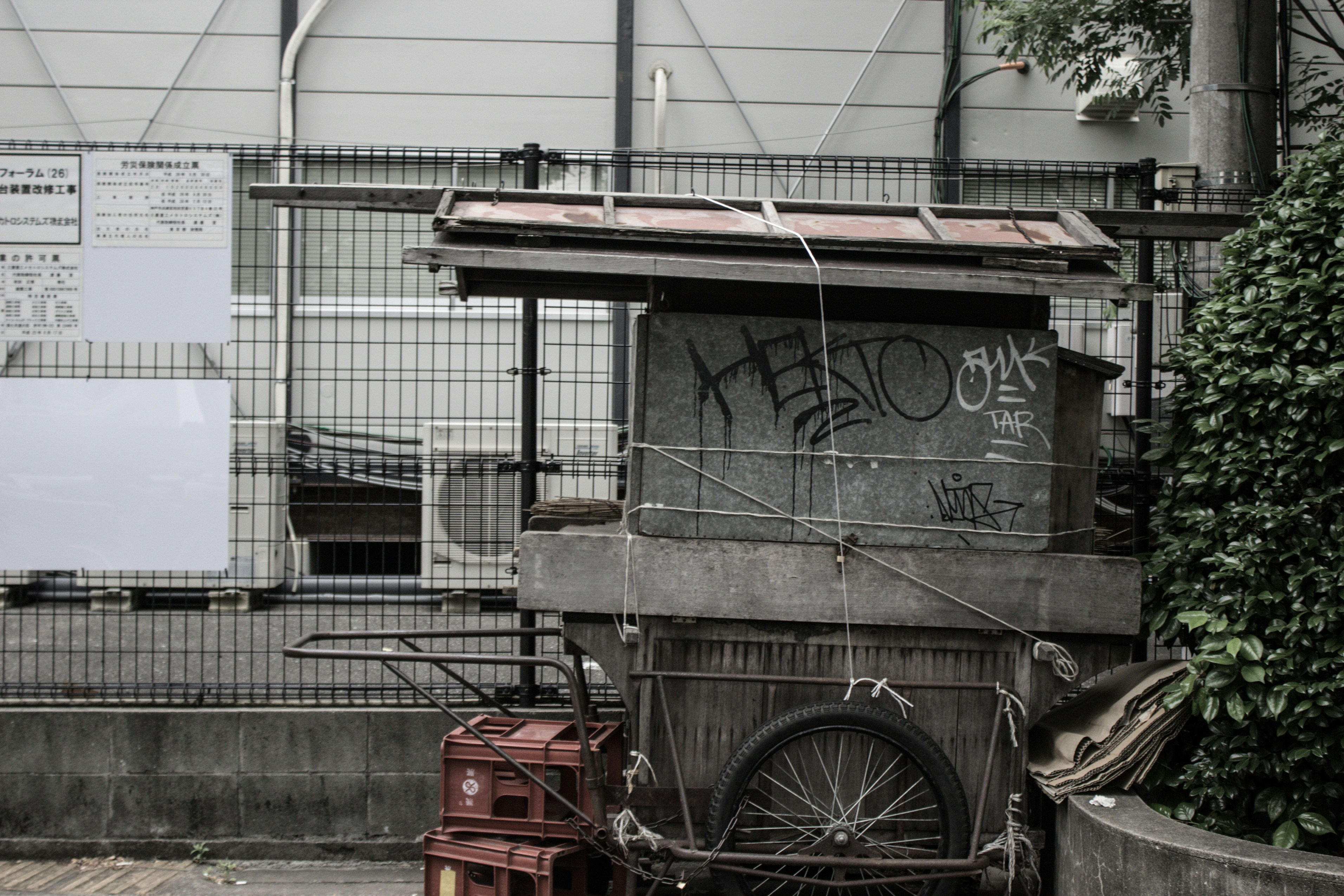 cart beside plant outdoors
