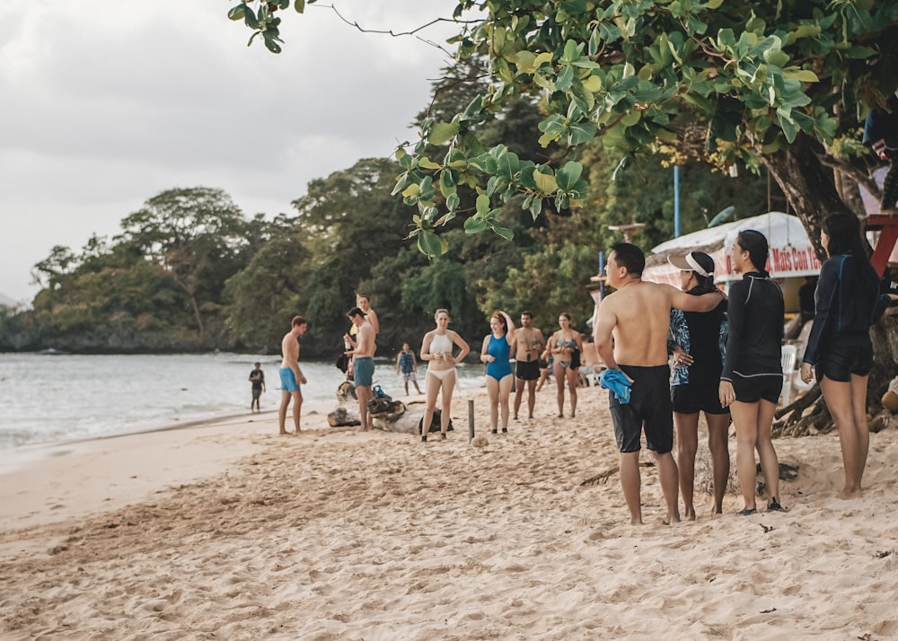 people standing on beachshore near trees