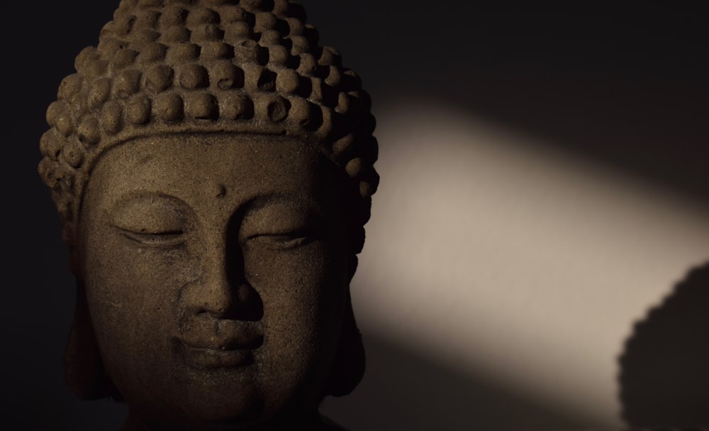 Buddha head statue