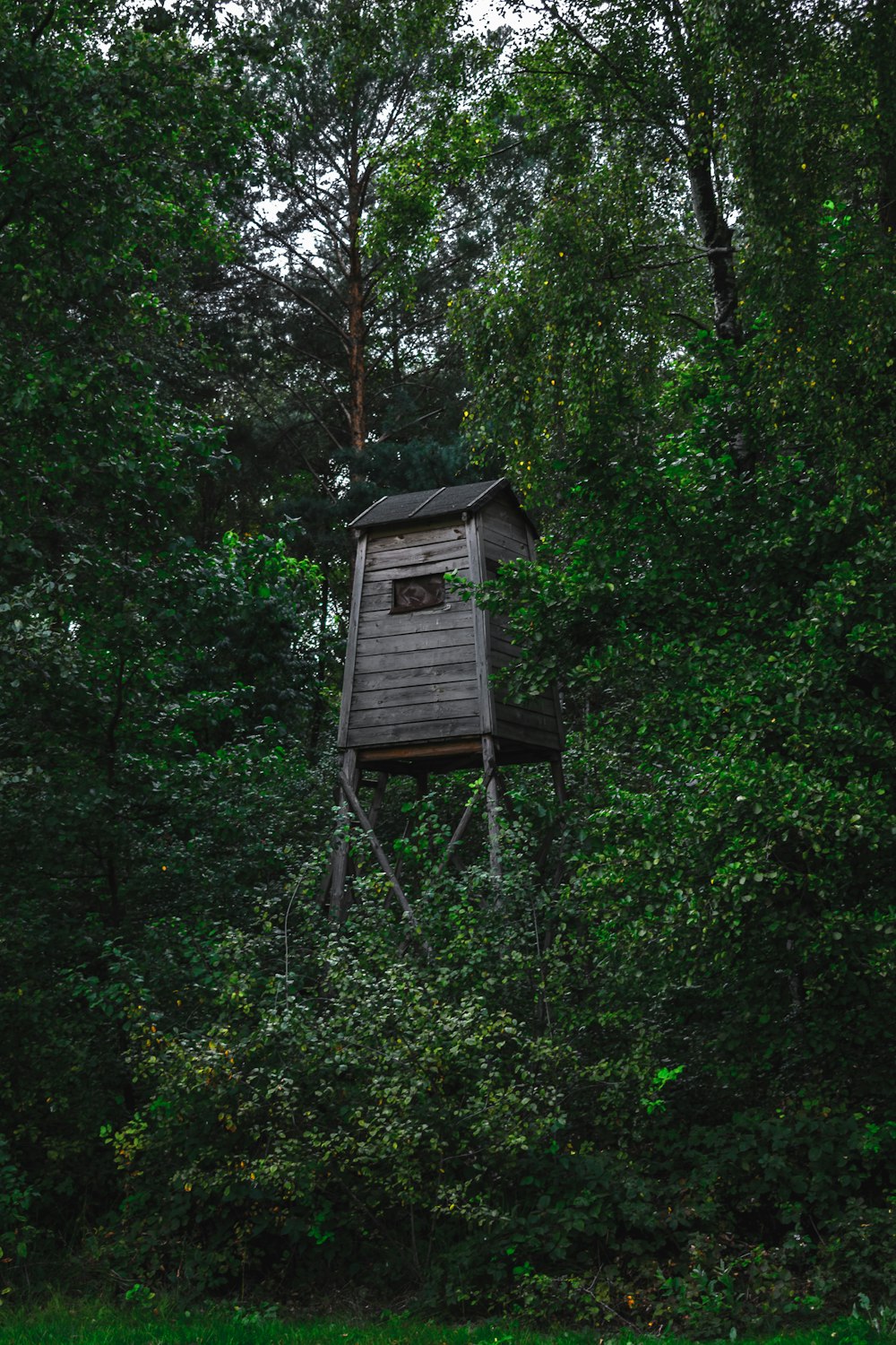brown watch tower in forest
