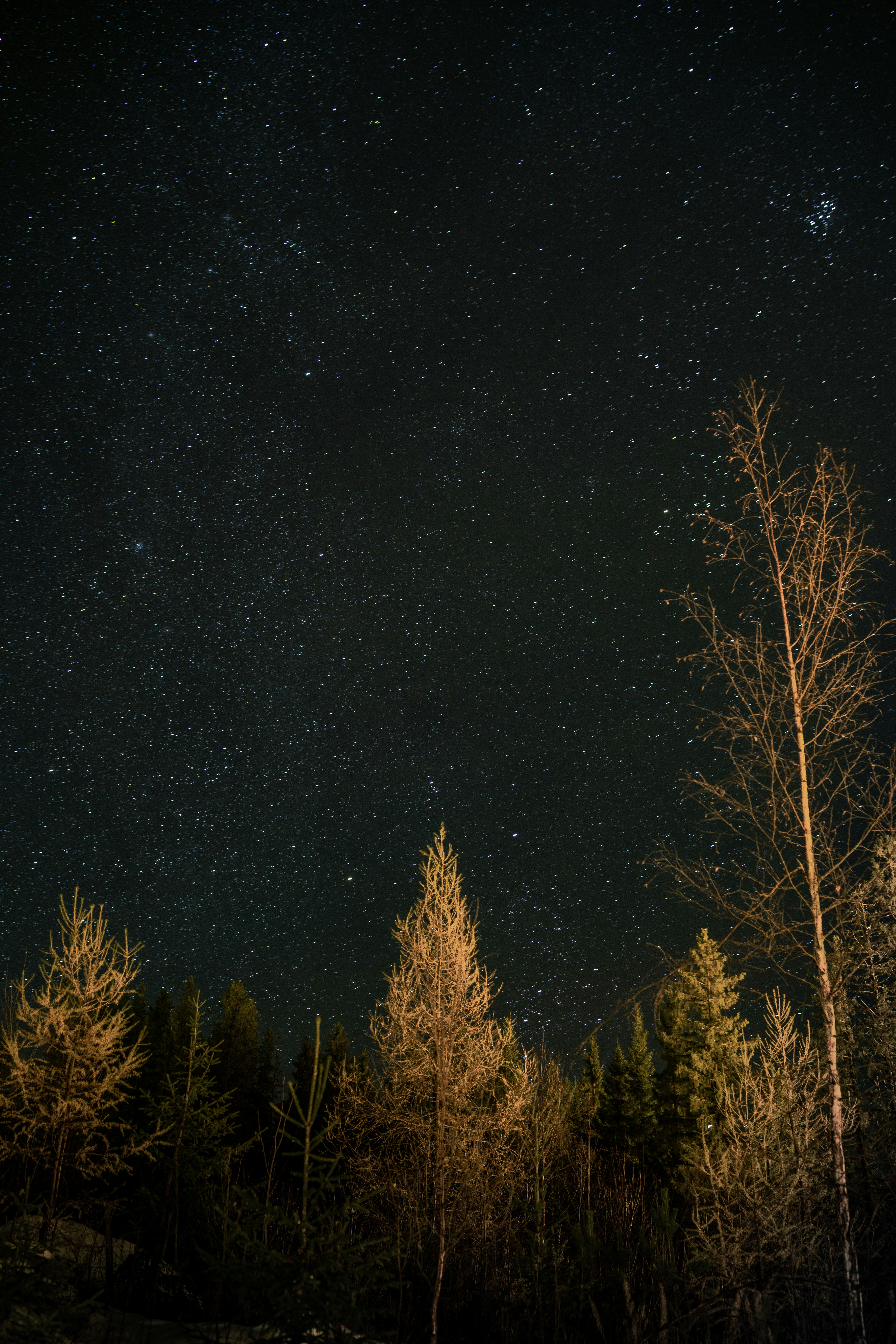 Photo by harissuljic