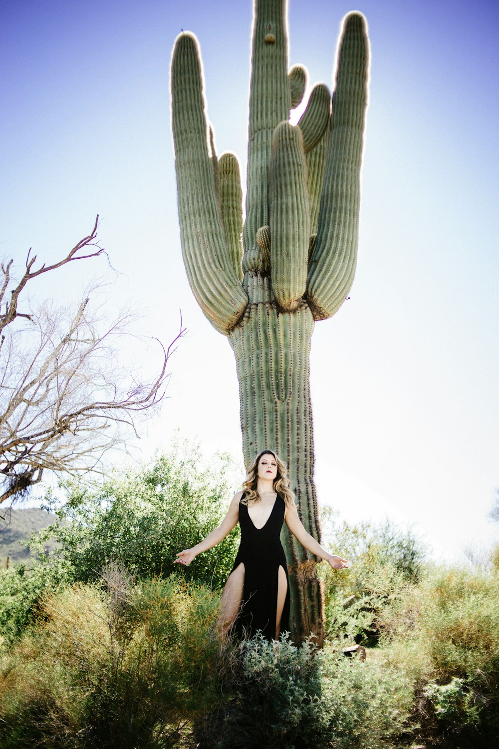 woman standing against candelabra cactus