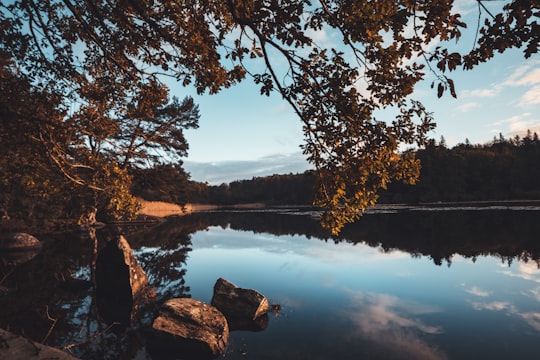 trees near body of water in Sidobre France