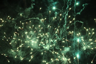 A vibrant display of fireworks with numerous sparks and trails of light set against the dark night sky. The bursts of bright lights emanate outward, creating intricate patterns and illuminating the surrounding smoke.