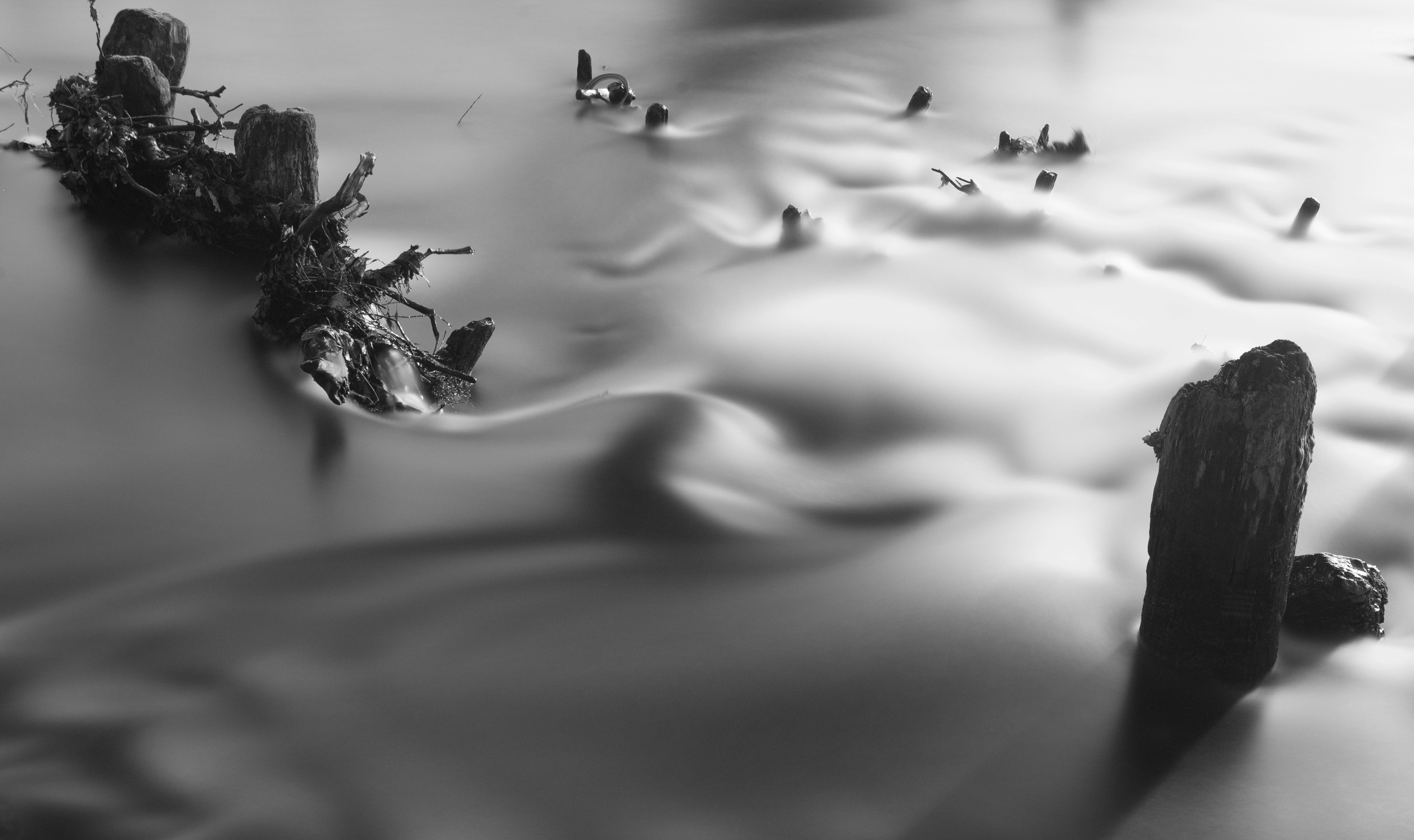 Photo by lukepennystan