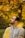 shallow focus photo of man in gray pullover hoodie