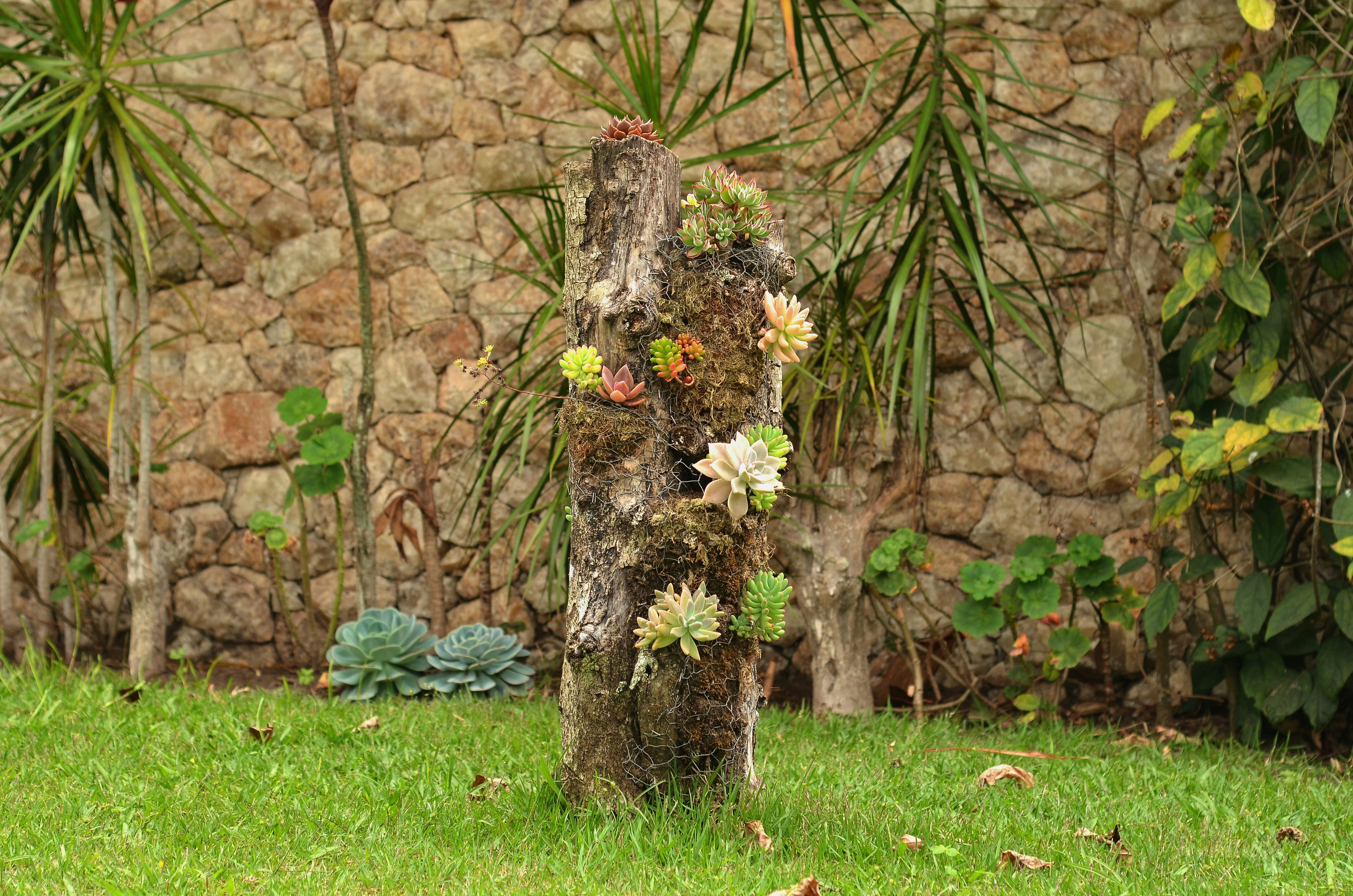 A Cosmic Connection: How to Honor Loved Ones by Growing Together in Space-influenced Gardens