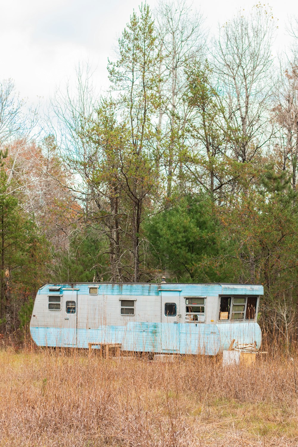 blue and white camper trailer beside trees during daytime