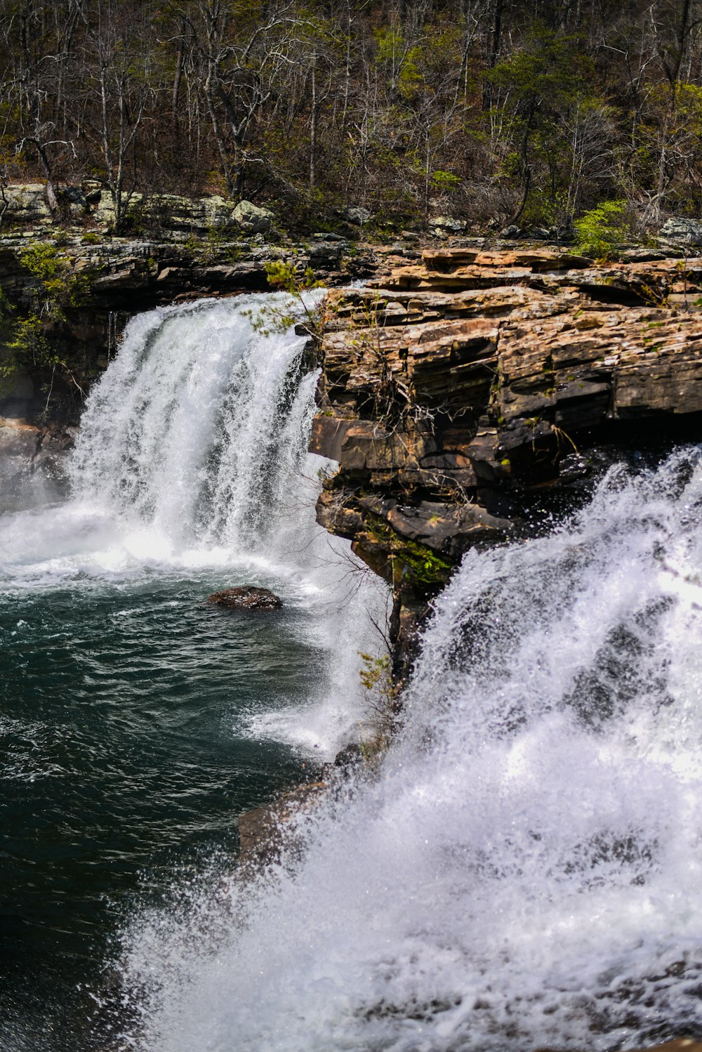 waterfalls surrounded by trees