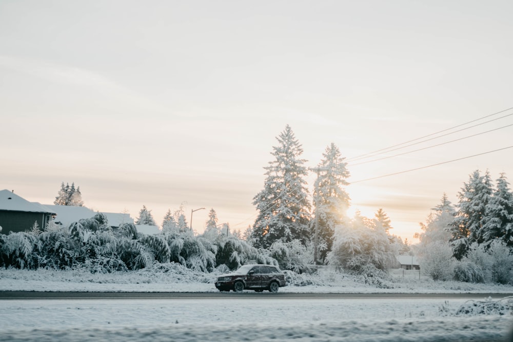 parked black card on snowy field at daytime