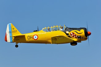 A yellow aircraft with a cartoonish shark face painted on its nose is flying in the clear blue sky. The aircraft has a tail with blue, white, and red stripes and is marked with numbers and letters. A pilot is visible in the cockpit, wearing protective gear.