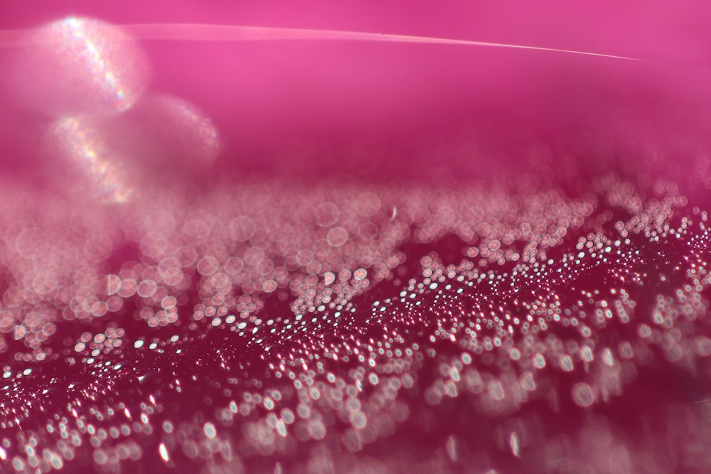 a close up of water droplets on a pink background