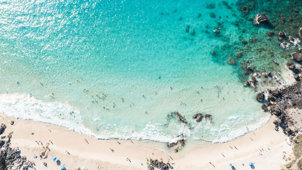 Fotografía aérea de la orilla del mar durante el día