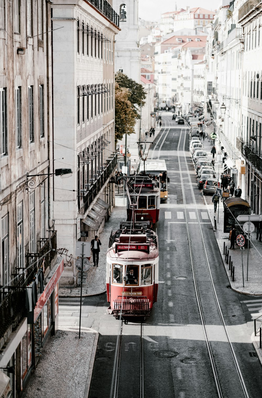 two red trams in city