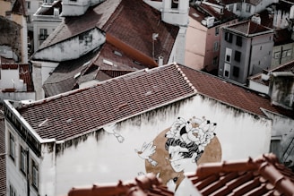 An aerial view of a cluster of buildings with reddish-brown shingled roofs. The dominant building in the foreground has a large mural depicting a person adorned with floral headgear and two birds flying around. The buildings are closely packed together, with some showing signs of wear and age.