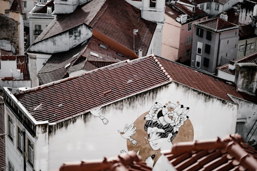An aerial view of a cluster of buildings with reddish-brown shingled roofs. The dominant building in the foreground has a large mural depicting a person adorned with floral headgear and two birds flying around. The buildings are closely packed together, with some showing signs of wear and age.