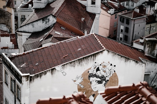 An aerial view of a cluster of buildings with reddish-brown shingled roofs. The dominant building in the foreground has a large mural depicting a person adorned with floral headgear and two birds flying around. The buildings are closely packed together, with some showing signs of wear and age.
