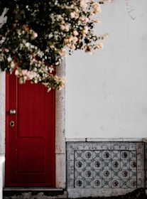 A freshly painted front door with vibrant colors, showcasing our painting service's attention to detail.