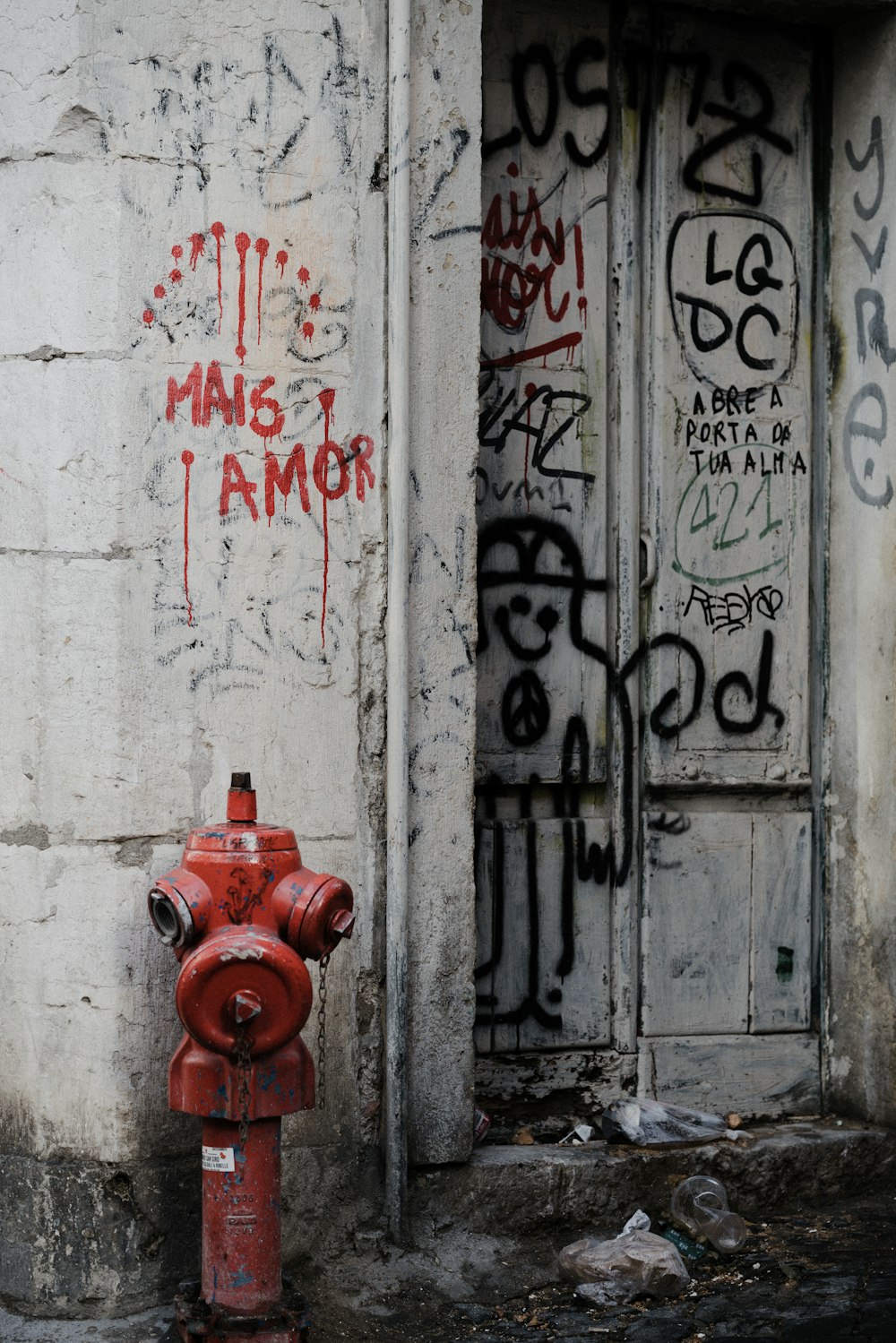 red fire hydrant beside white wooden door
