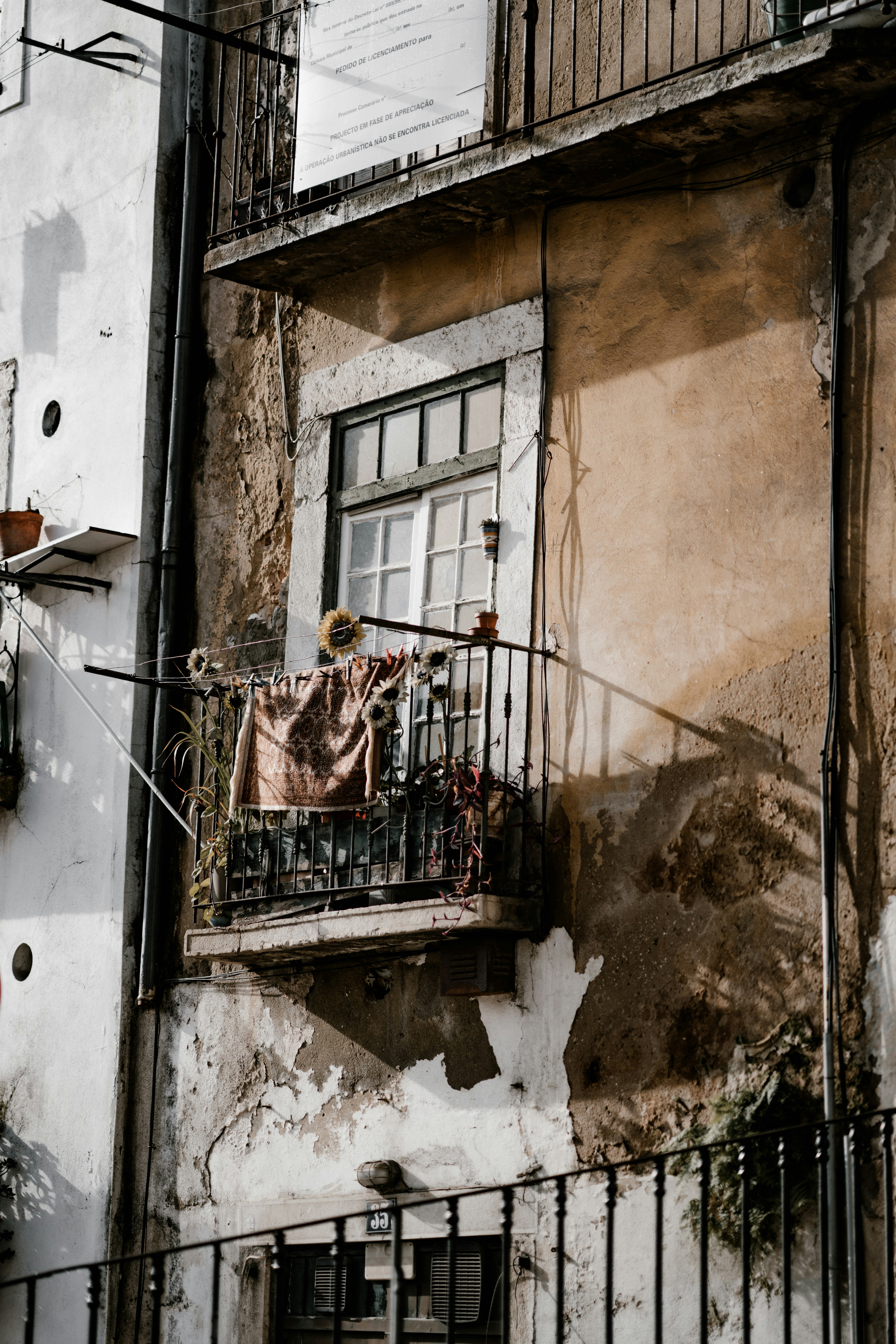 Photo by anniespratt