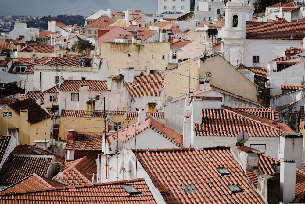 white and brown concrete buildings